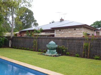Brush fencing Adelaide