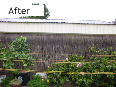 brush fence repairs Adelaide