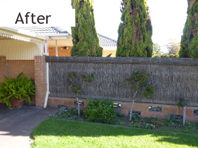 brush fencing repairs Adelaide