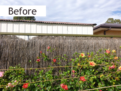 brush fencing Adelaide