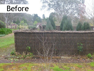 Adelaide brush fence