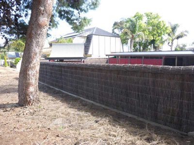 brush fence Adelaide
