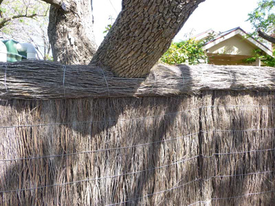 brush fence Adelaide