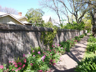 brush fence Adelaide